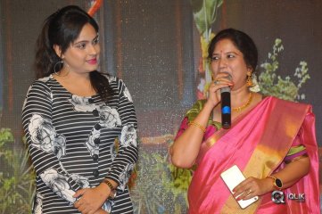 Ammammagarillu Movie Pre Release Function Photos